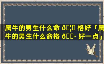 属牛的男生什么命 🦈 格好「属牛的男生什么命格 🌷 好一点」